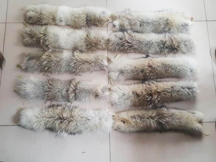 毛领行业，你绕不过去这些的坑