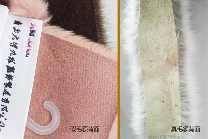 396 -《真毛领子、假毛领子怎么辨别？小心獭兔毛领子替换水貂毛领子！》