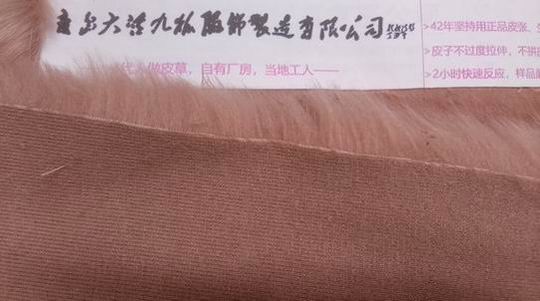 狐狸毛真假？看这几个地方就能分开！-697